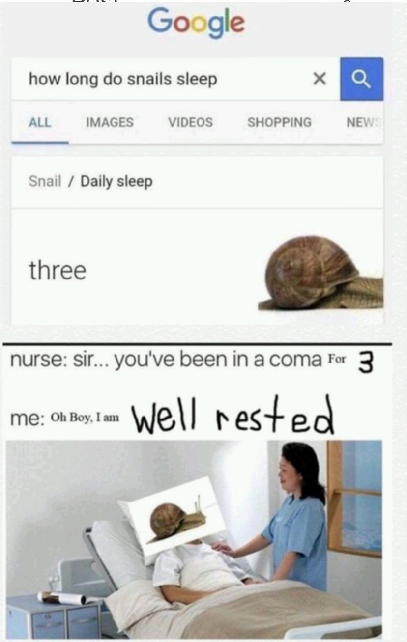 Little snail - meme