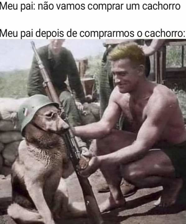 Cão de guerra - meme