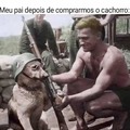 Cão de guerra