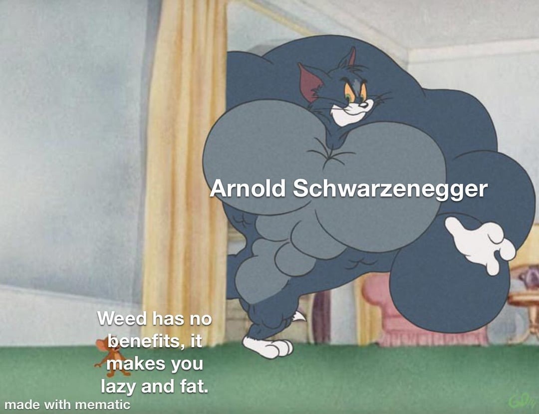 Arnold and weed - meme