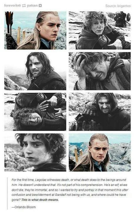 Legolas understanding the death of Gandalf - meme