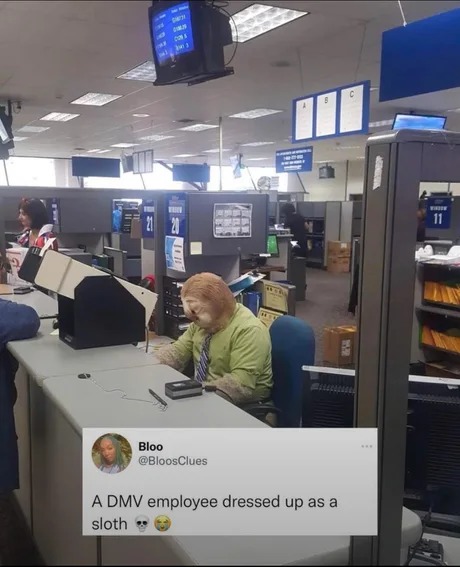 DMV employee dressed up as a sloth - meme