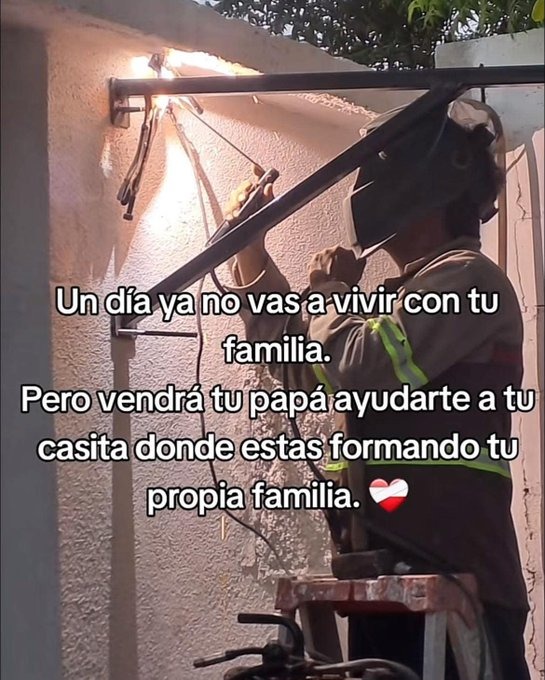 el ciclo de la vida - meme
