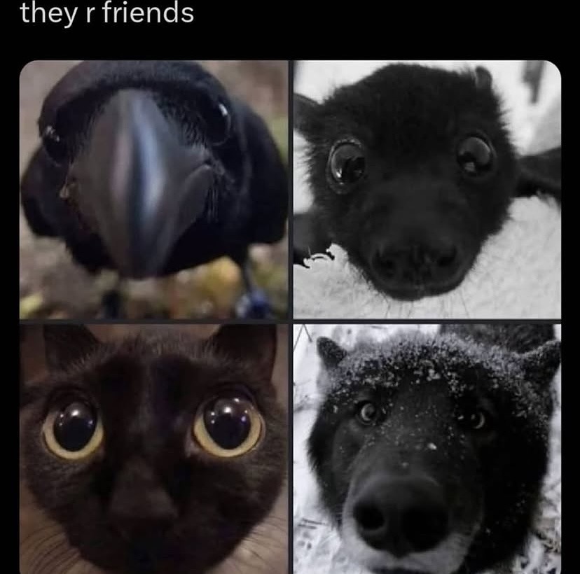 Friends: they’re weird, but they’re my weird - meme