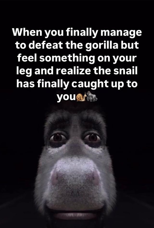 Beat the gorilla just to get folded by the snail - meme