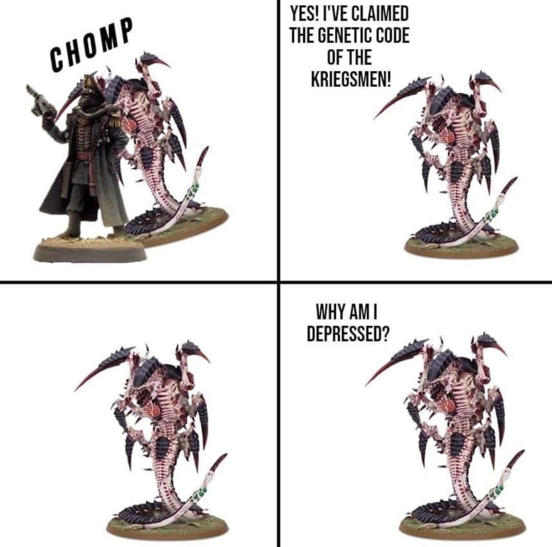 The books about Krieg are nuts - meme