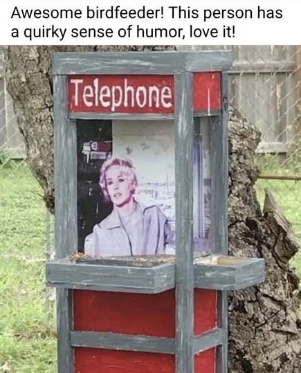 This birdfeeder's got jokes and I'm here for it - meme