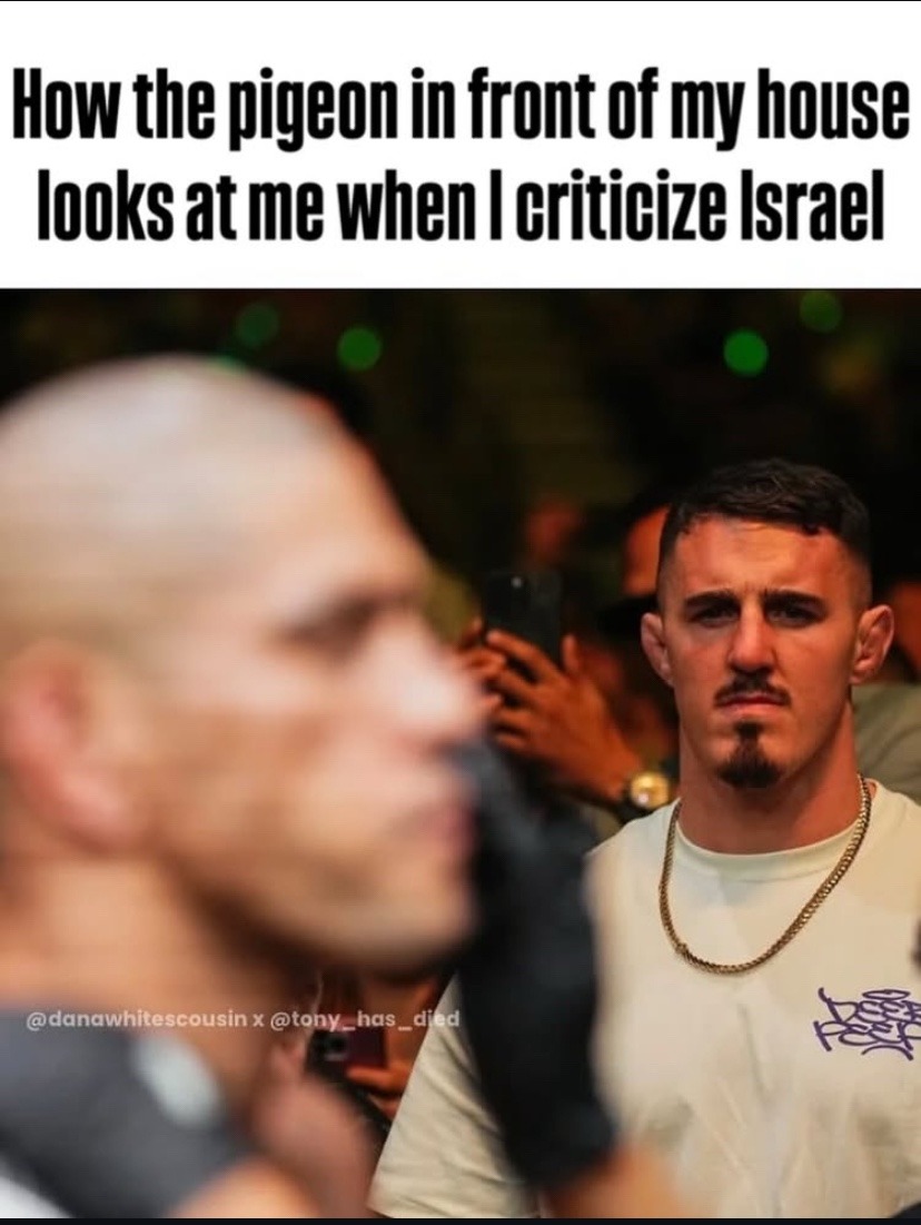 shut it down - meme