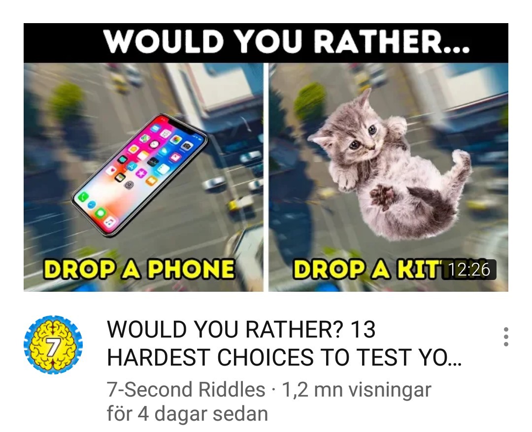 I would obviously drop the kitten - meme