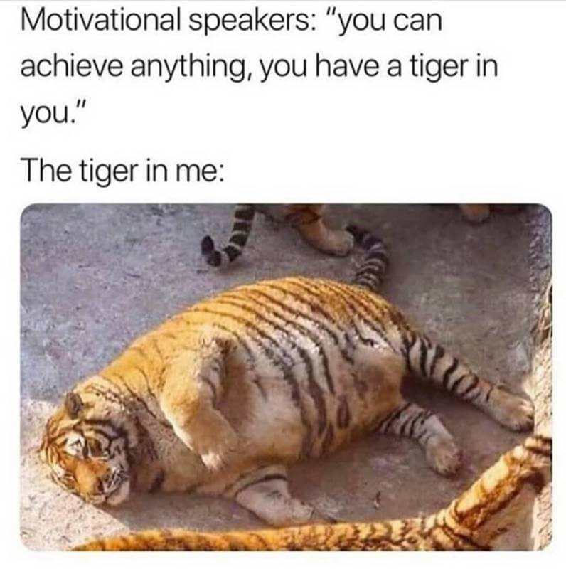 The tiger in me - meme