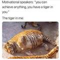 The tiger in me