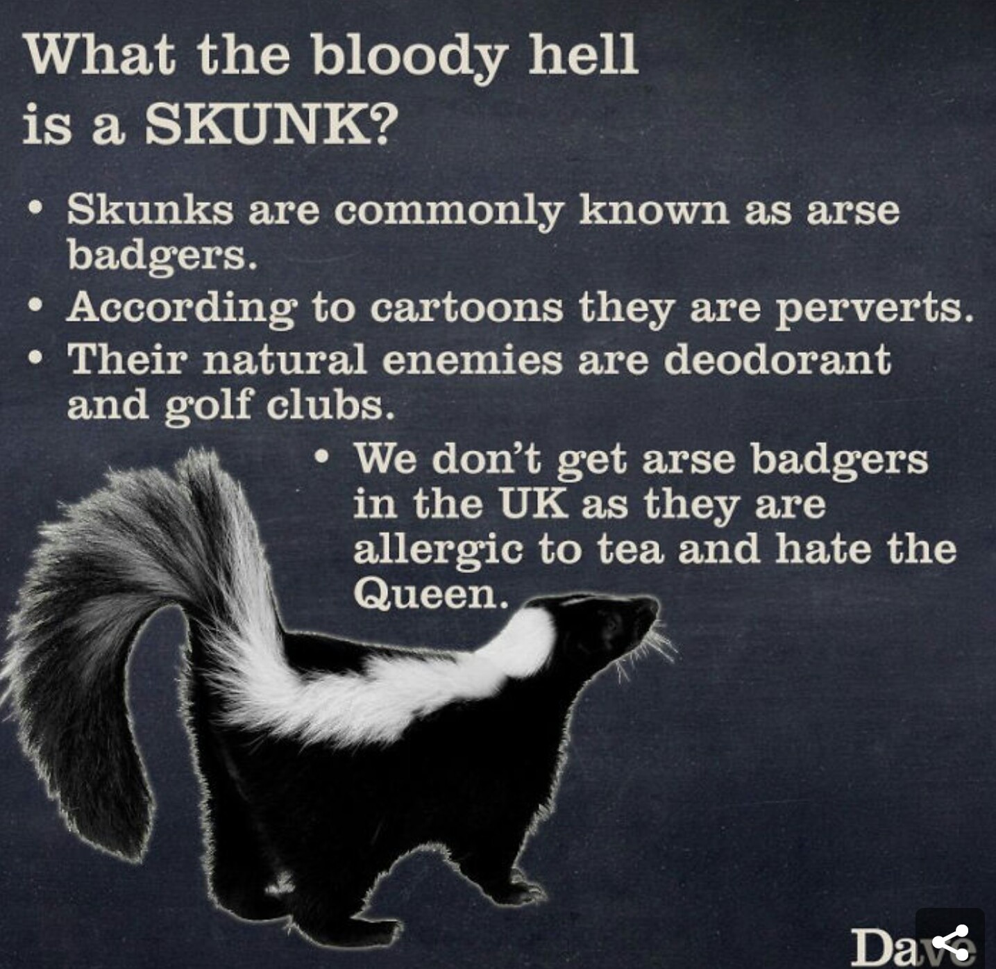 Skunks according to the UK - meme