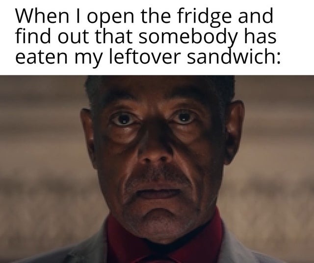 DON,T touch my sandwich - meme