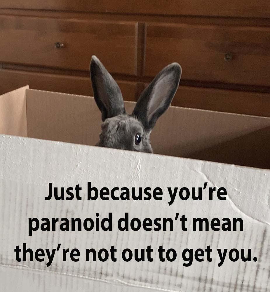 Bunny paranoid - meme