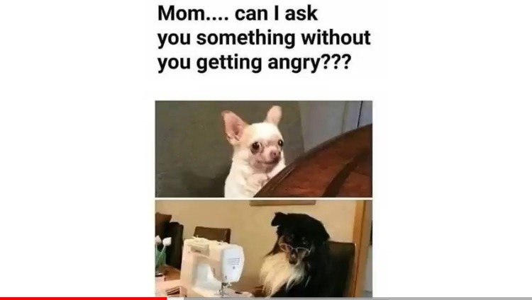 mom - meme