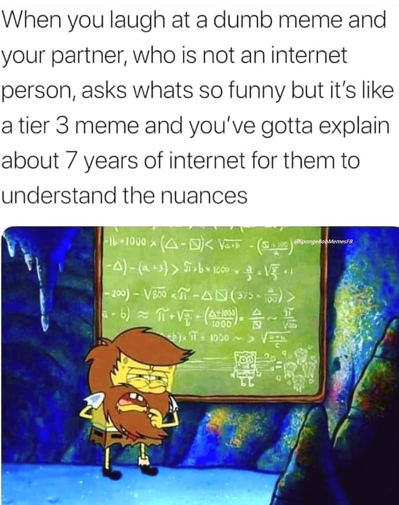 meme explain by a expert