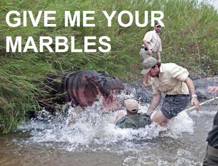 Hungry hungry hippos - meme