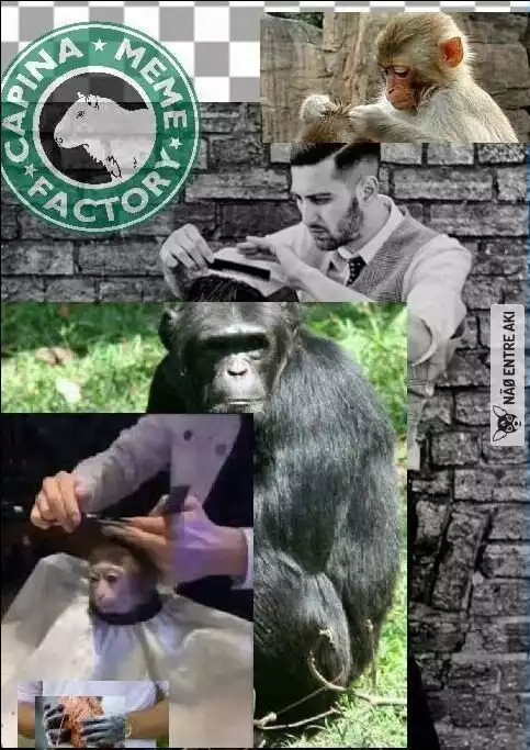 A evolução do cabeleireiro - meme