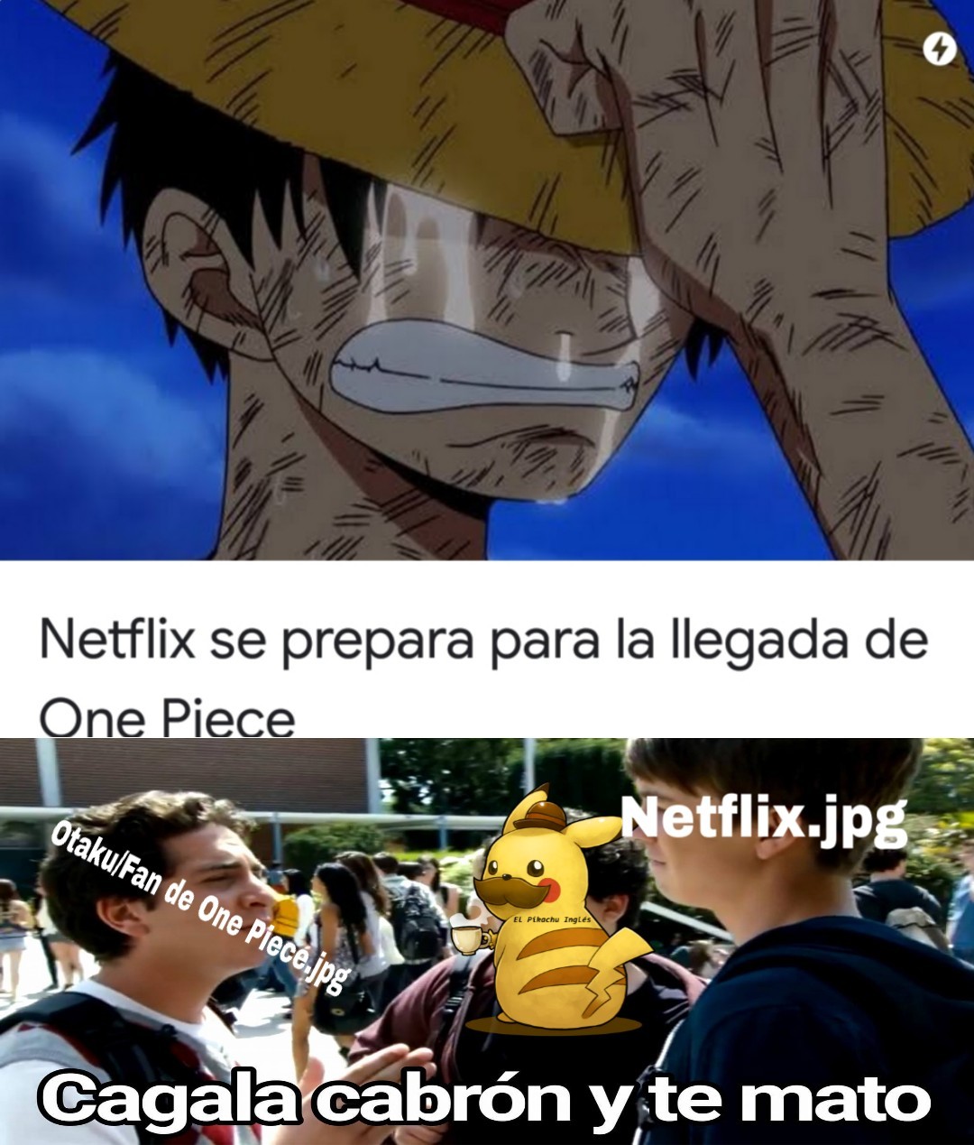 Pinche Netflix - meme