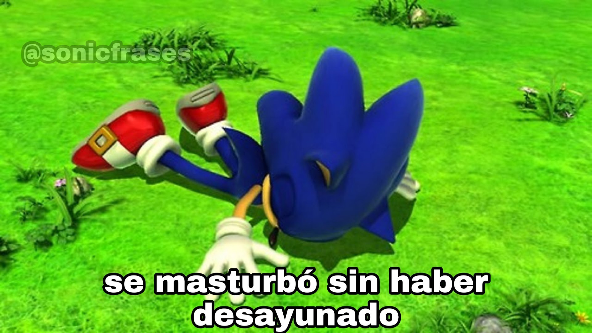 creo que le gusto - Meme by sonicfrases :) Memedroid