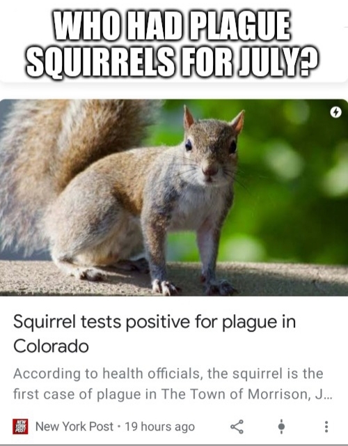 Plague squirrels - meme