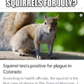 Plague squirrels