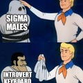 Sigma males