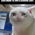 Birthday on a school day meme