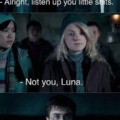 Luna you're cool, you can stay