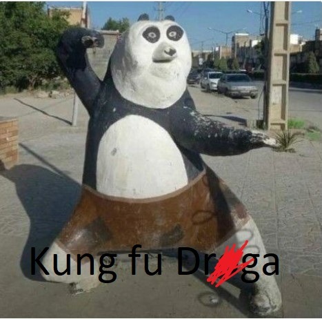 kung fu drga - meme