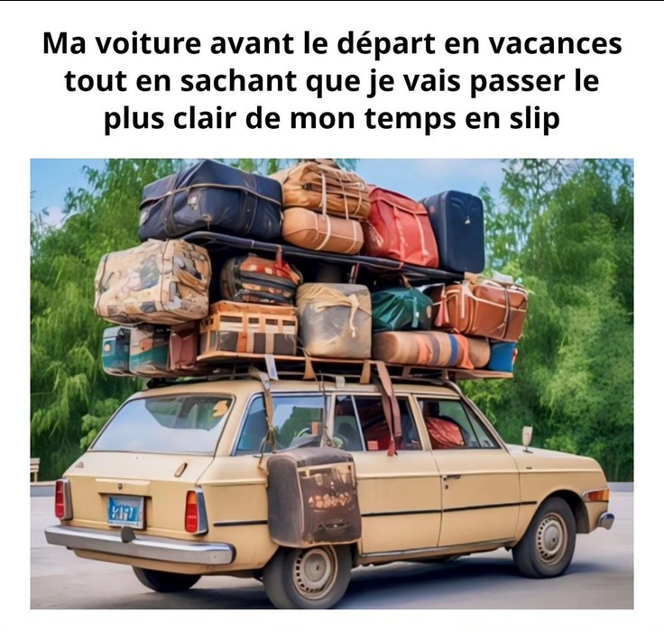 Illu parfaite du « Je prends ça au cas où » - meme