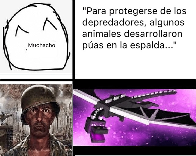 Quién Es Su Depredador Meme Subido Por Dxergamer2 Memedroid