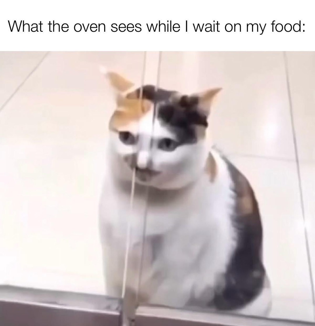 Outside the oven - meme