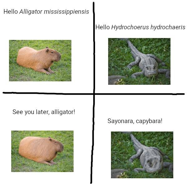 Say hi to alligator and goodbye to capybara like it’s Pokémon lore - meme