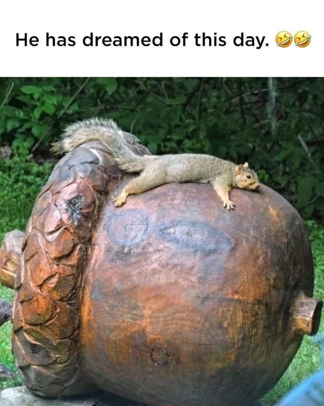 ﻿He has dreamed of this day: