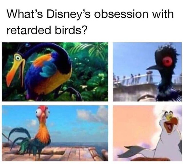 What's disney's obsession with retarded birds? - meme