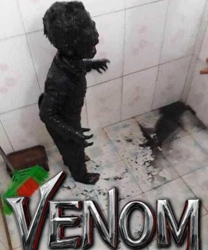 Venom venom venom venom - meme