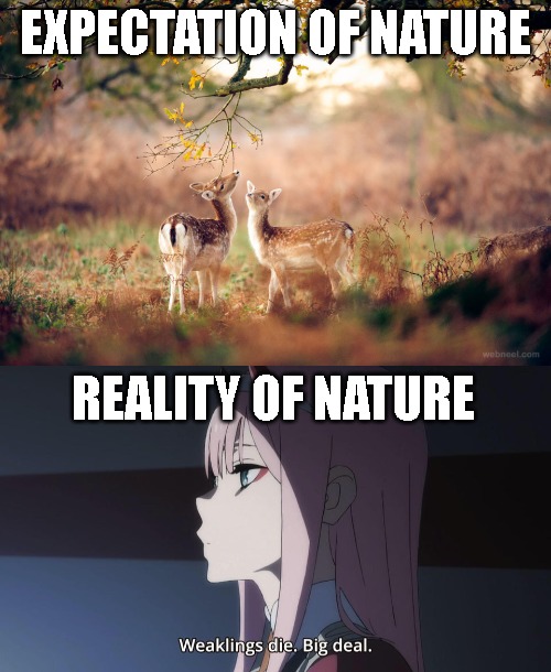 Nature is Scary - meme
