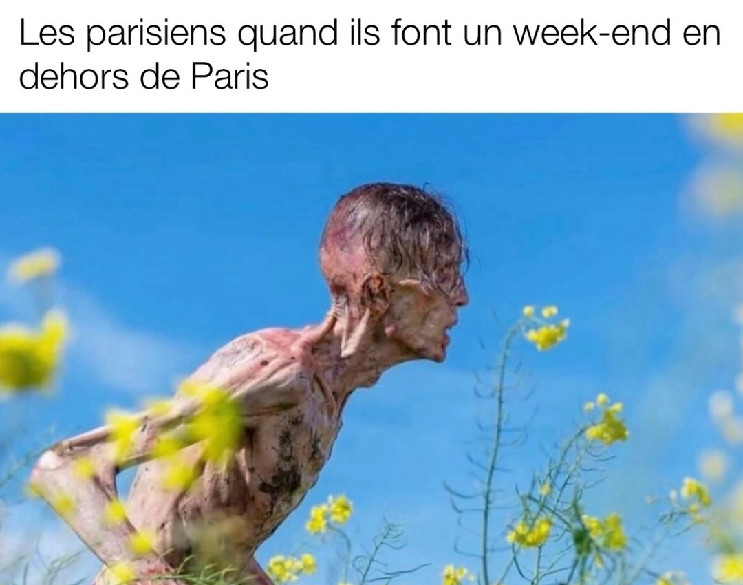 Les parisiens quand ils découvrent que l'air peut être respirable - meme
