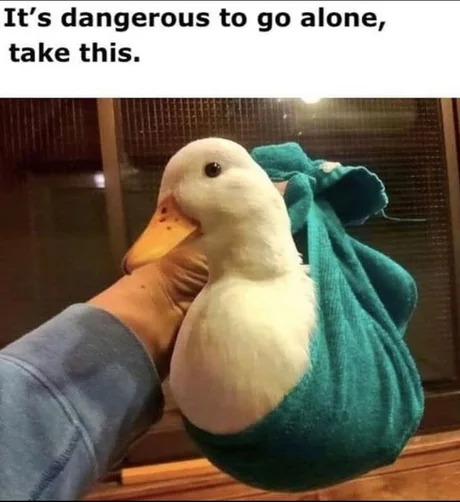 Take this duck, you'll need it - meme