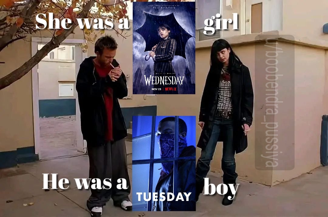 Tuesday boy - meme
