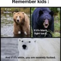 Bear knowledge