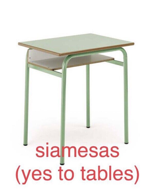 Significado de siamesas - meme