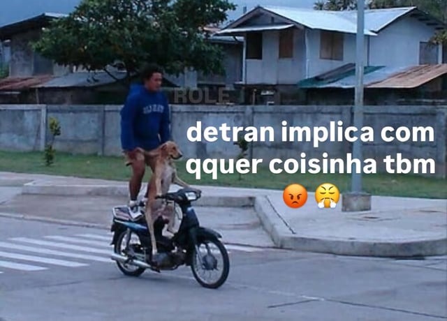 Detran Fresco - meme