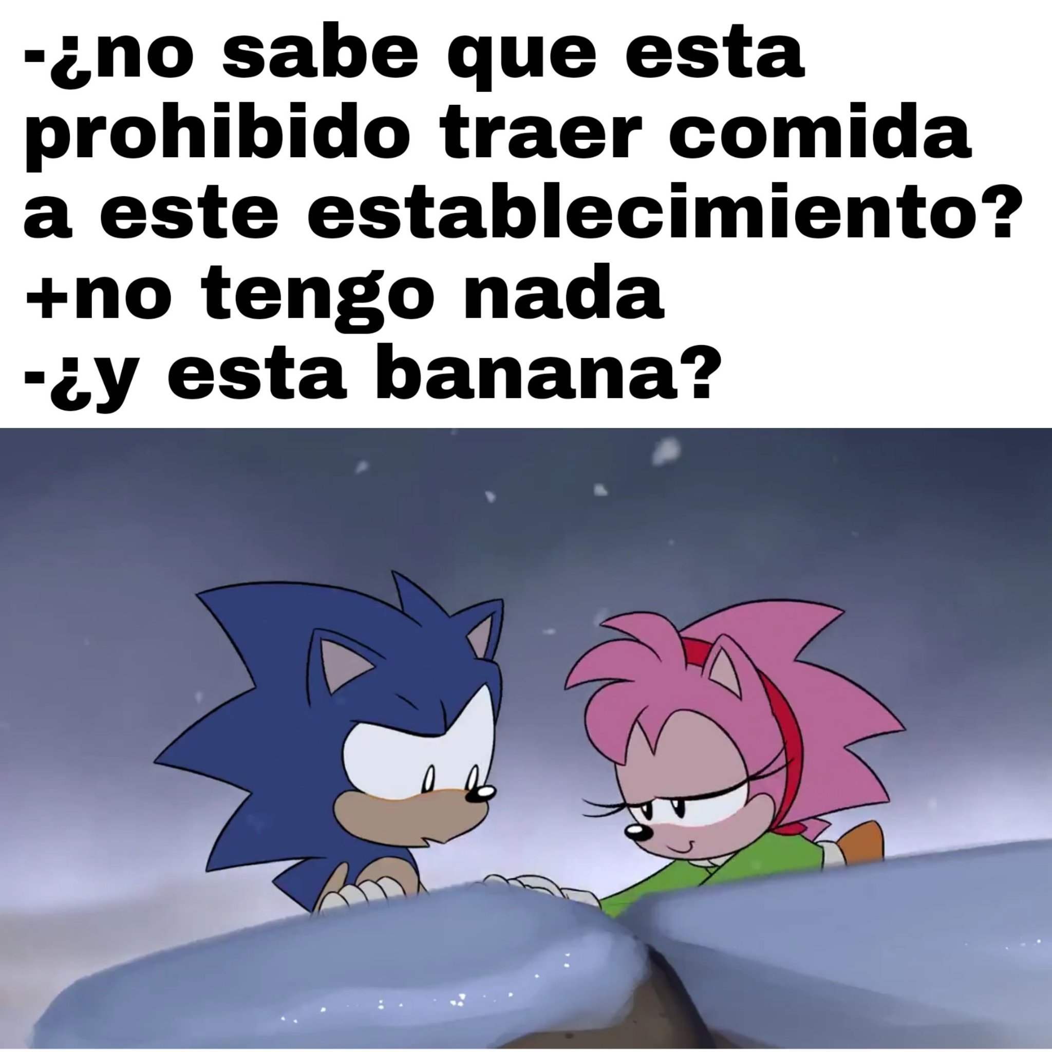 Zonic Memes