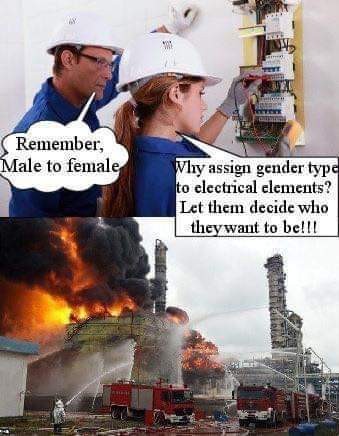 Male and Female - meme