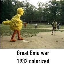 Emu - meme