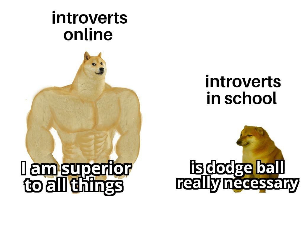 Introverts - meme