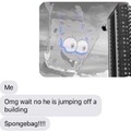 Spongebag