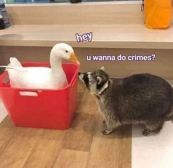 Lets do crimes.my friends - meme